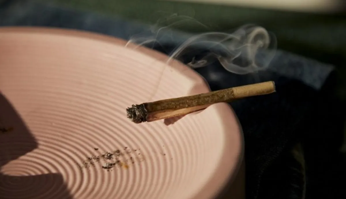 แนะวิธีสูบกัญชาที่อันตรายน้อยที่สุด และเคล็ดลับช่วยให้สร่างเมา