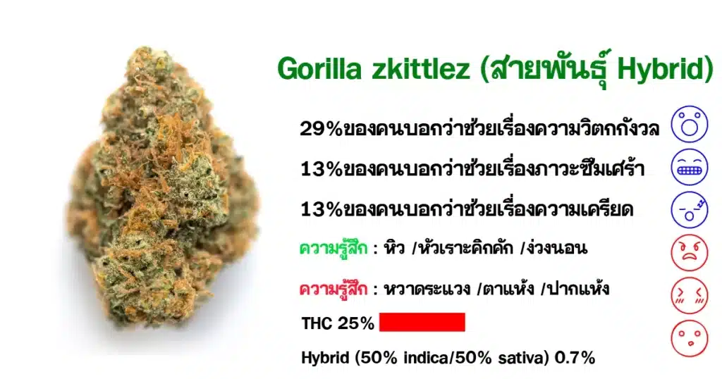 ดอกกัญชา Gorilla zkittlez (สายพันธุ์ Hybrid)
