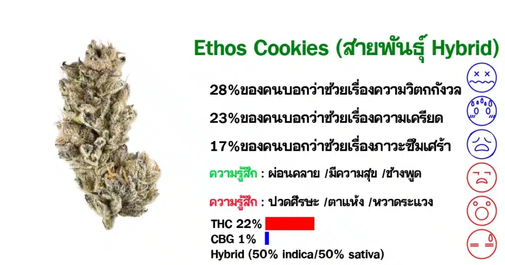 ดอกกัญชา Ethos Cookies ( สายพันธุ์ Hybrid )