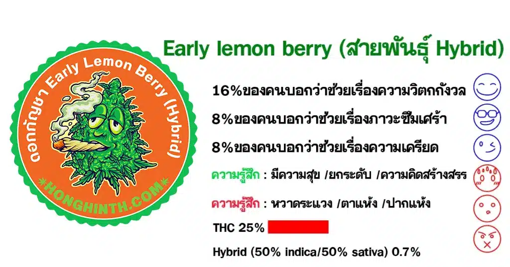 ดอกกัญชา-Early-lemon-berry-สายพันธุ์-Hybrid