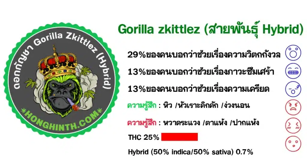 ดอกกัญชา-Gorilla-zkittlez-สายพันธุ์-Hybrid