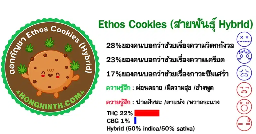 .ดอกกัญชา-Ethos-Cookies-สายพันธุ์-Hybrid